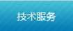技術(shù)服務(wù)